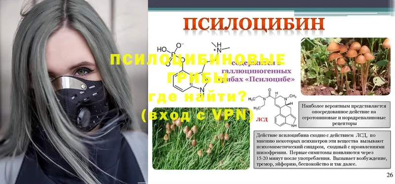 hydra ссылки  Буй  Галлюциногенные грибы Psilocybine cubensis  закладка 